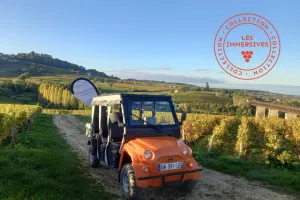 [Vignobles en Scène!]: Eco-circuit des terroirs de Sancerre