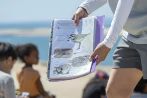 Balade nature : La migration des oiseaux à la Dune du Pilat