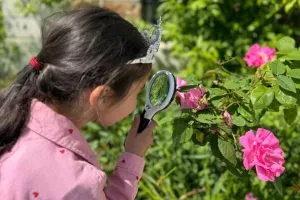 Jardin à la loupe