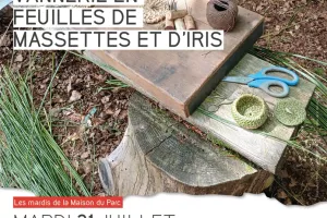 Atelier vannerie en feuilles de massettes et d'iris