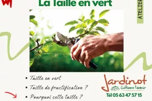 LA TAILLE EN VERT