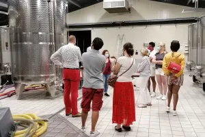 [Visite de cave] Domaine Eric Louis
