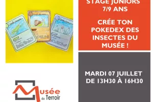 Stage Junior 7/9 ans : crée ton Pokedex des insectes du musée !
