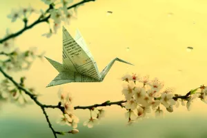 Atelier de pratique artistique | Origami