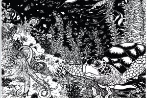 ''De l'eau d'ici à l'eau de là'' : exposition "Sanctuaire"