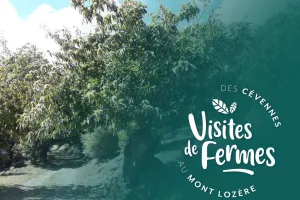 VISITES DE FERMES 2026 : LES CHATAIGNERAIES DE MATTHIAS