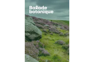Balade botanique