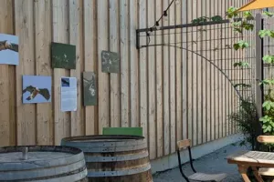 TRIPLE EXPOSITION AU MOULIN DES BRASSEURS !