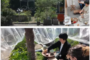 Cérémonie de thé à "Hanami Teahouse", pavillon de thé éphémère pour
appréciation des fleurs au jardin