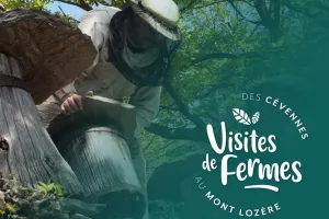 VISITES DE FERMES 2026 : L'ARBRE AUX ABEILLES