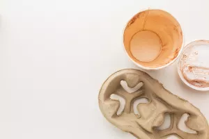 Atelier découverte : Empreintes d’argile