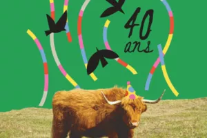☀️ Festival RéciDives