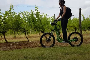 Été actif | Trottinette électrique tout-terrain