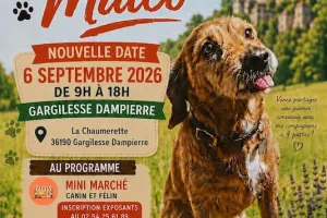 Journée Le rasso de Malco