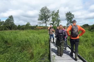 La boucle du marais