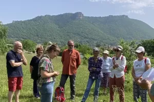 Sorties botaniques - Victoria Linhares - le Sentier des Herbes