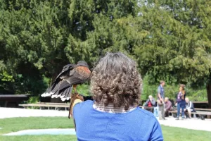 Halloween à la Volerie des aigles