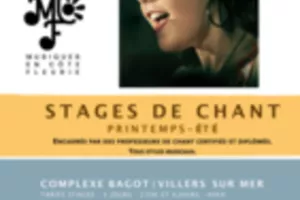 Stage d'été