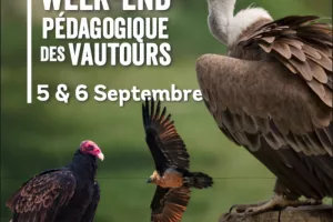 Week-end Pédagogique des Vautours