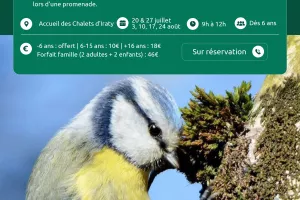 À la découverte des oiseaux