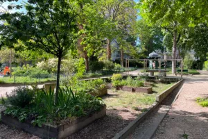 Ateliers de jardinage avec l'association de Culture(s) en Herbe(s)