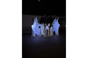 Arcangues en lumière