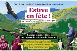 Estive en fête !
