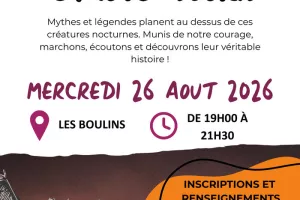 Une nuit chez les chauves-souris