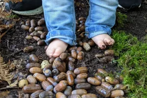 Premiers pas nature : les 5 sens en exploration