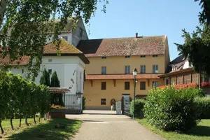 Cave ouverte