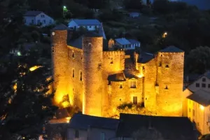 Expositions au château
