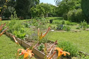 Visite libre jardin pédagogique