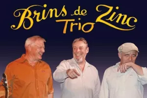 Brins de Zinc Trio