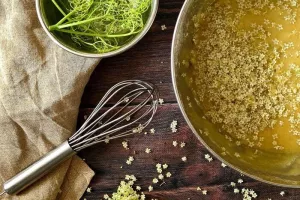 Atelier de cuisine végétale