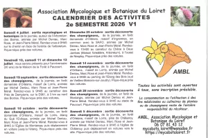 Découverte des champignons