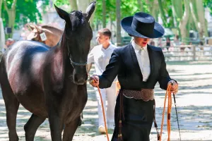 Spectacle équestre (Jardins de la Guierle)