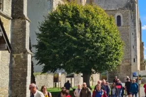 Visite guidée de l'Abbaye Saint-Vigor de Cerisy-la-Forêt