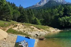 Exposition : Toiles de l'Atelier "Dessiner à Pau"
