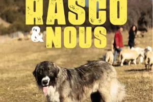 Projection - échanges : Rasco et nous