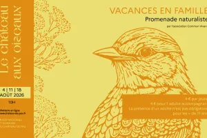 Le château des oiseaux