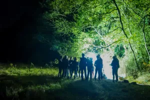 Les ailes de la nuit