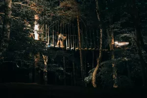 RONDIN PARC : ACCROBRANCHE NOCTURNE