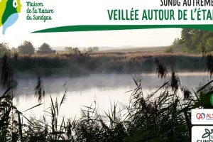 Veillée autour de l'étang