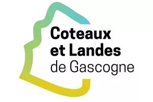 Marché gourmand nocturne - Houeillès