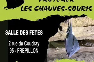 Connaître et protéger les chauves-souris à Frépillon