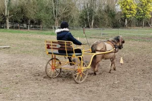 Les stages du Ranch et Ferme du Saut du Loup