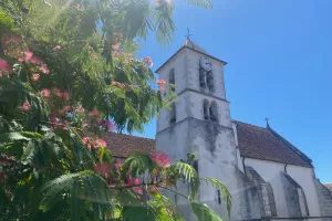 Journées Européennes du Patrimoine : visite de l'église Saint-Etienne