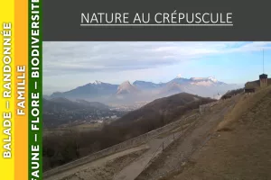 VERCORS - Nature au crépuscule