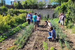 Initiation à la permaculture