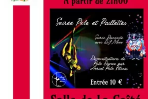 Soirée pole dance et paillettes